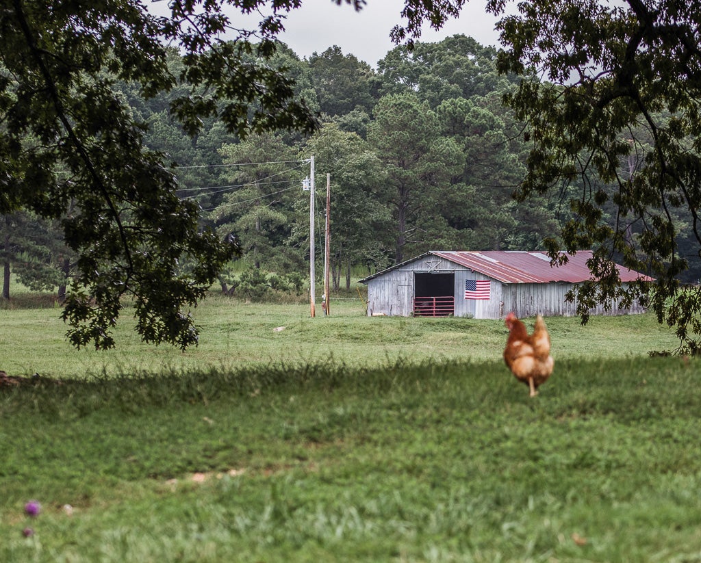 Minute Walking Tour Buck Naked Farm